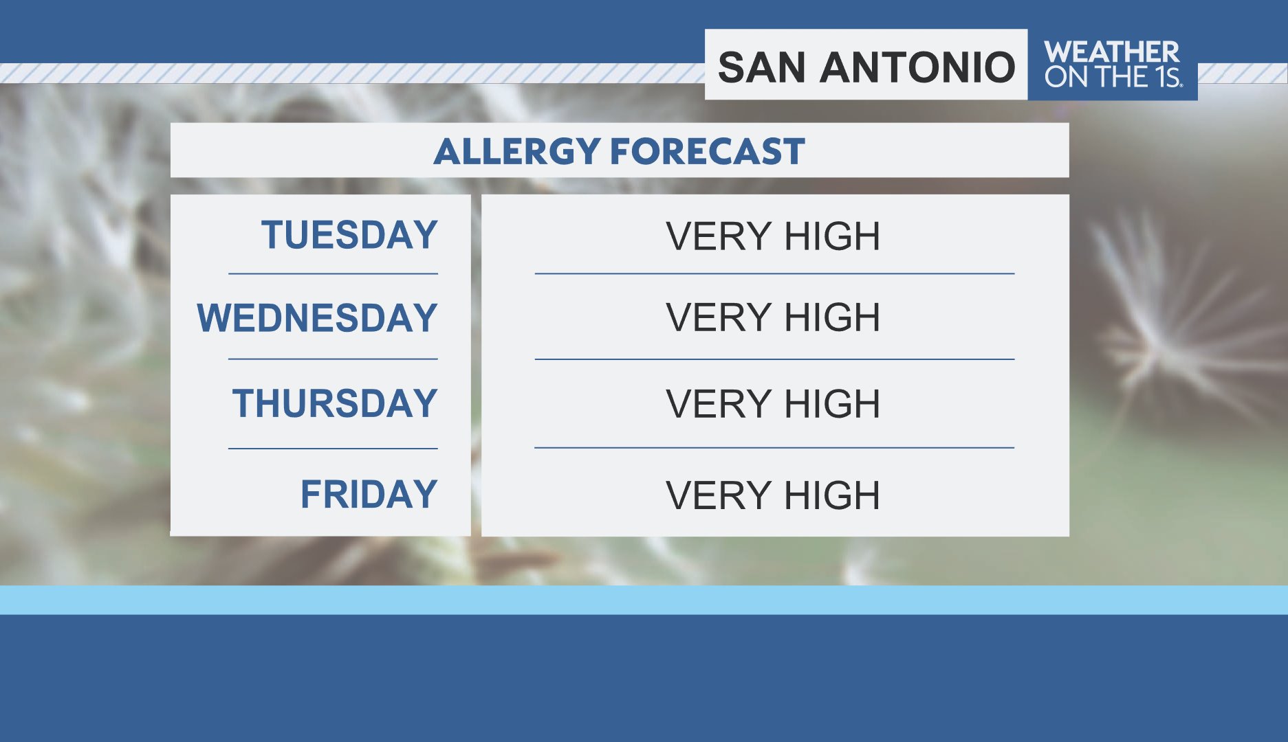 Allergy San Antonio Spectrum News